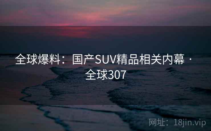 全球爆料:国产SUV精品相关内幕 · 全球307